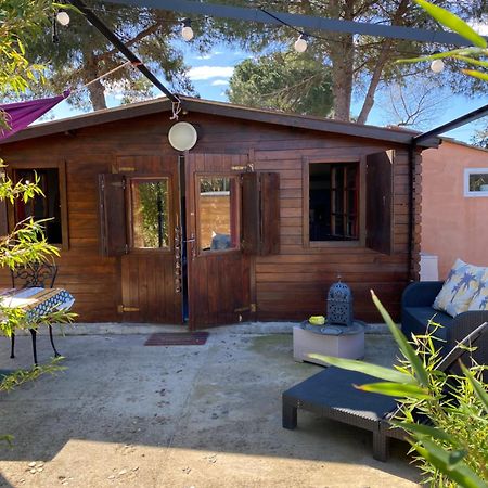 Chalet Des Oliviers 20Mn Des Plages Climatise Béziers Eksteriør bilde