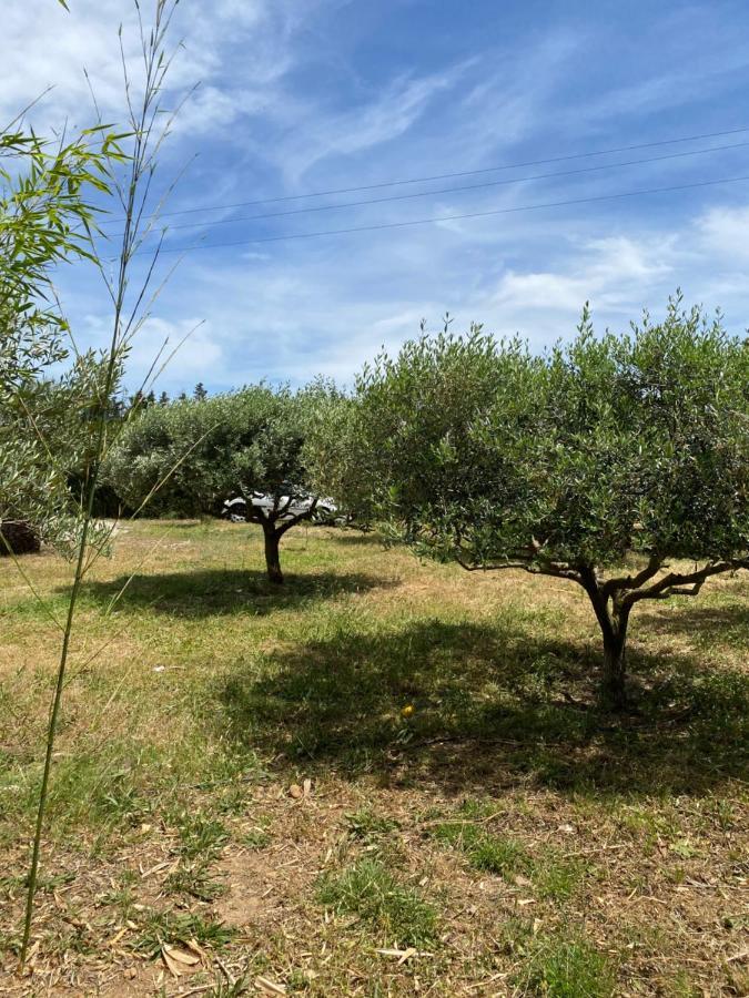 Chalet Des Oliviers 20Mn Des Plages Climatise Béziers Eksteriør bilde