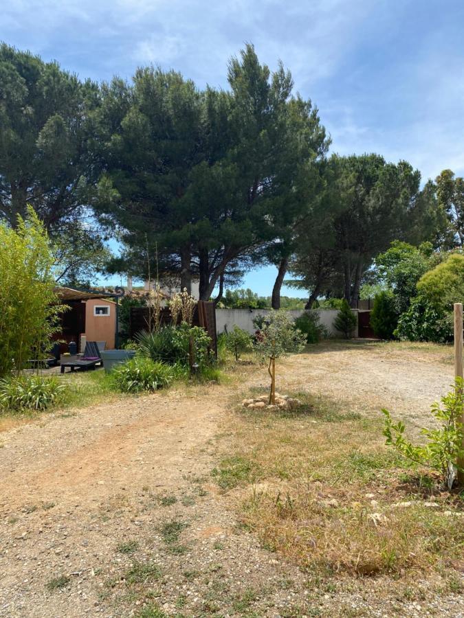 Chalet Des Oliviers 20Mn Des Plages Climatise Béziers Eksteriør bilde